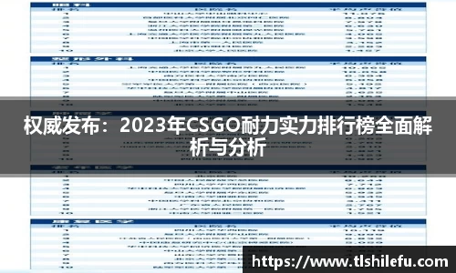 权威发布:2023年CSGO耐力实力排行榜全面解析与分析