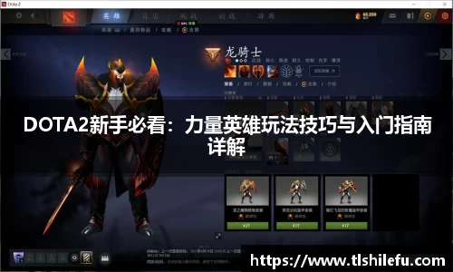 DOTA2新手必看:力量英雄玩法技巧与入门指南详解