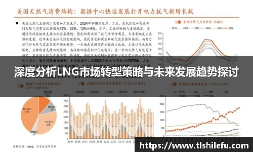 深度分析LNG市场转型策略与未来发展趋势探讨