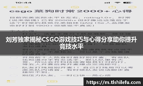 刘芳独家揭秘CSGO游戏技巧与心得分享助你提升竞技水平