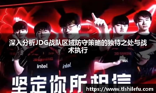 深入分析JDG战队区域防守策略的独特之处与战术执行