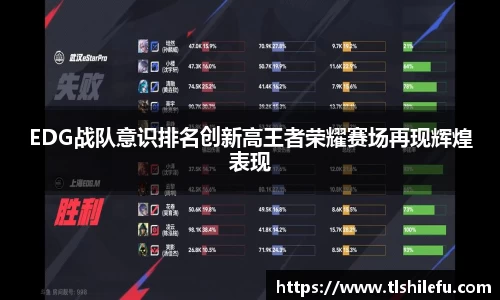 EDG战队意识排名创新高王者荣耀赛场再现辉煌表现