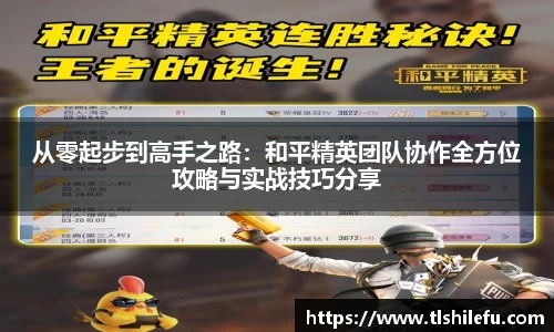 从零起步到高手之路：和平精英团队协作全方位攻略与实战技巧分享