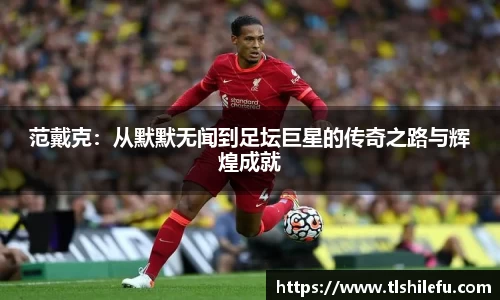 范戴克：从默默无闻到足坛巨星的传奇之路与辉煌成就