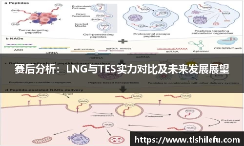 赛后分析:LNG与TES实力对比及未来发展展望