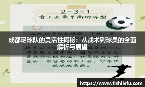 成都足球队的灵活性揭秘：从战术到球员的全面解析与展望